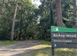 Bishop Wood
