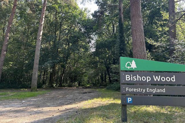 Bishop Wood