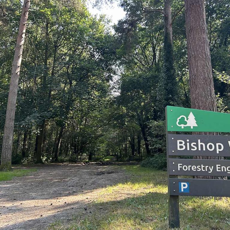 Bishop Wood