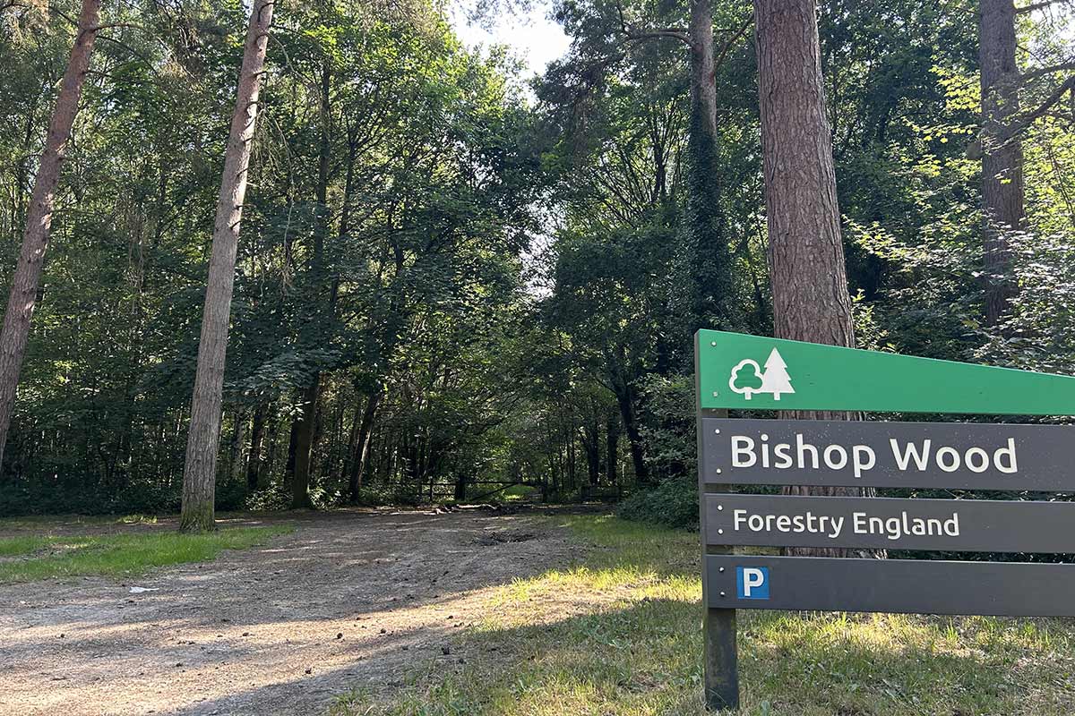 Bishop Wood Bishop Wood