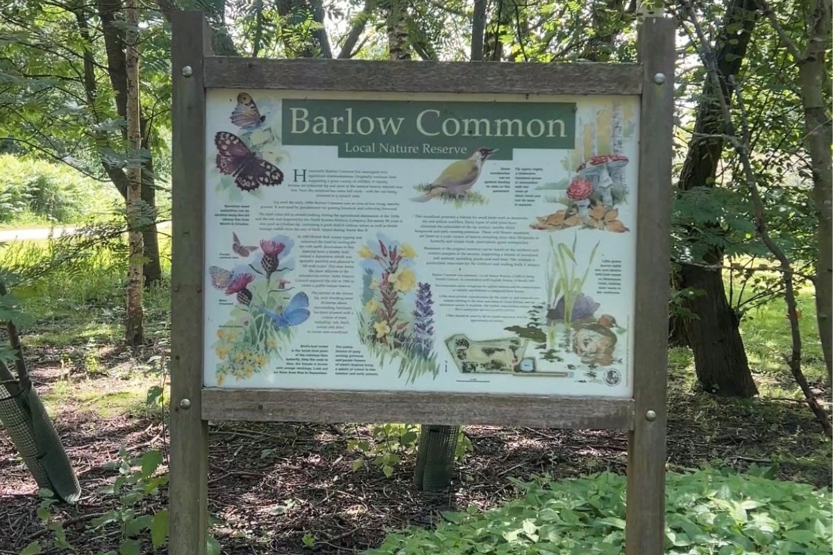 Barlow Common Nature Reserve